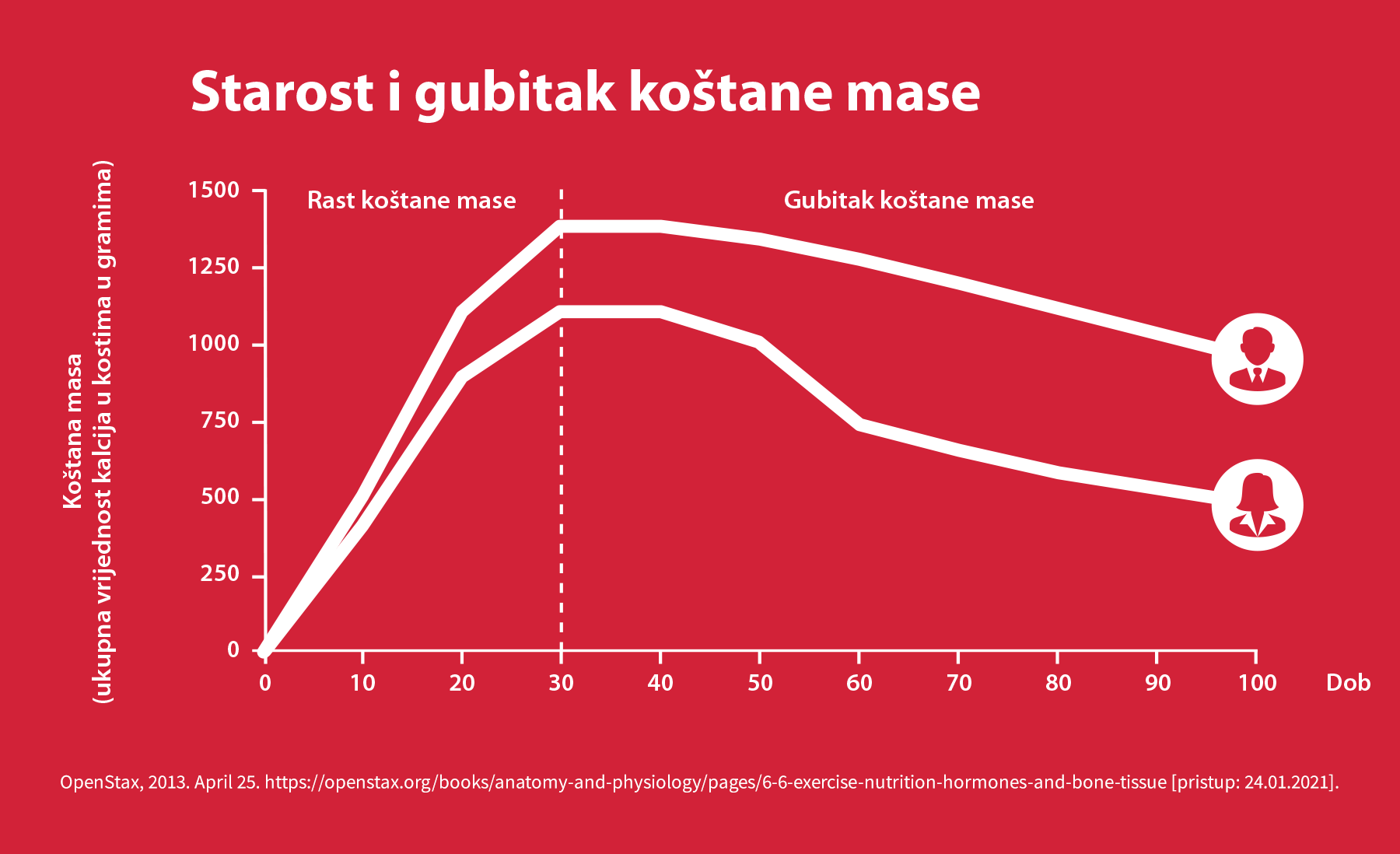 S godinama naše kosti postaju krhke